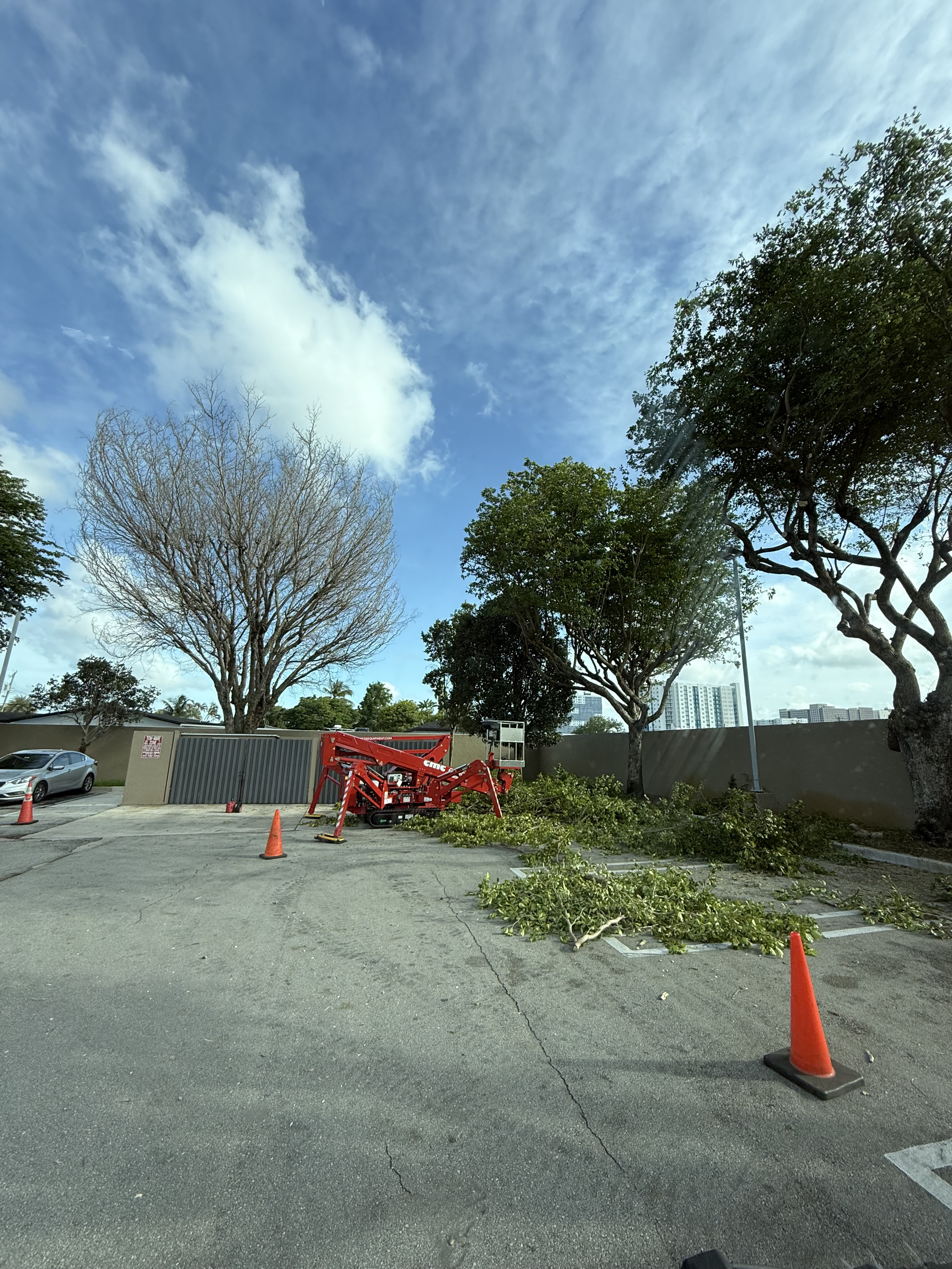 Overview of tree trimming site with spider lift and debris