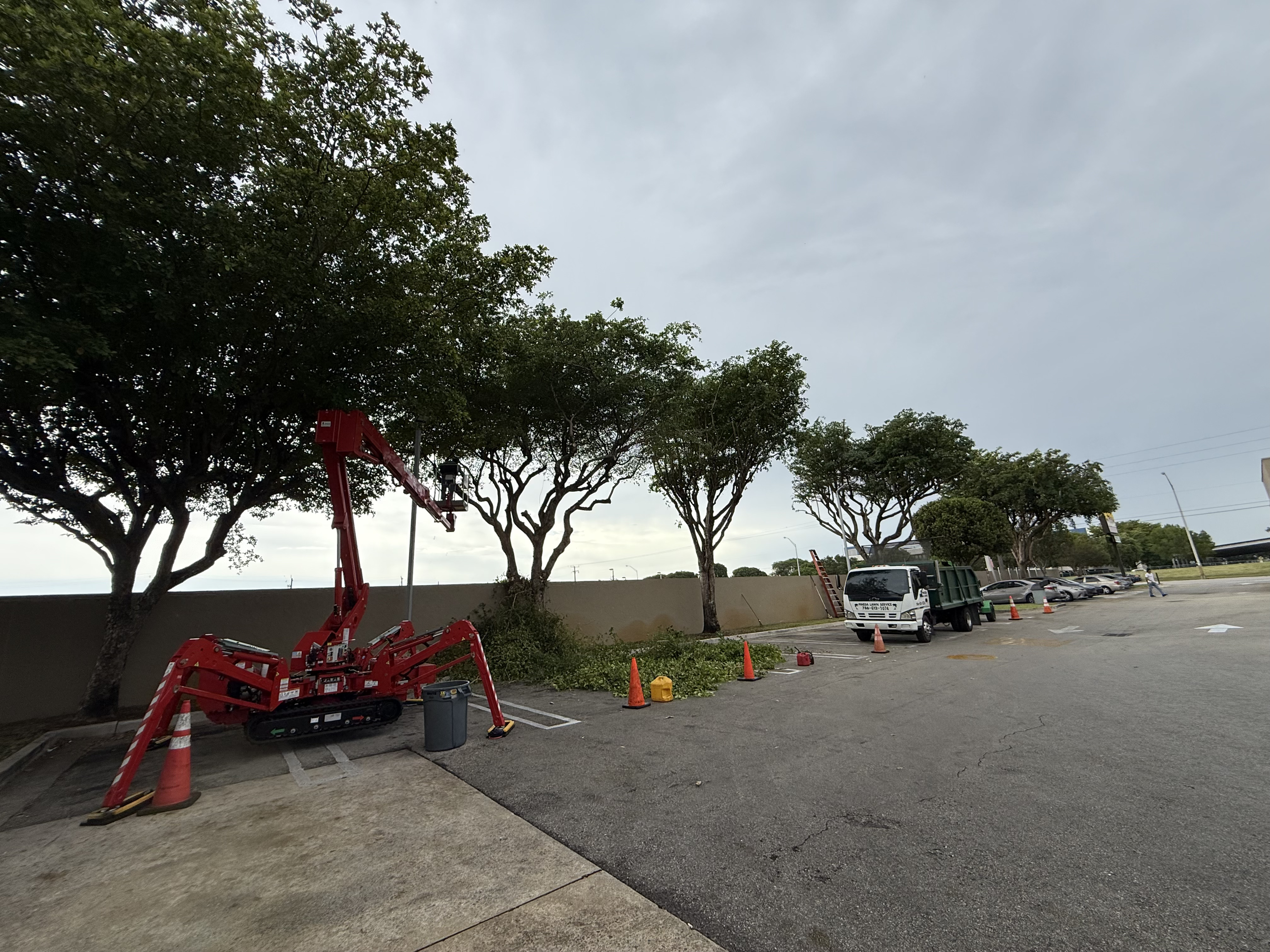 Spider lift and truck setup for tree work