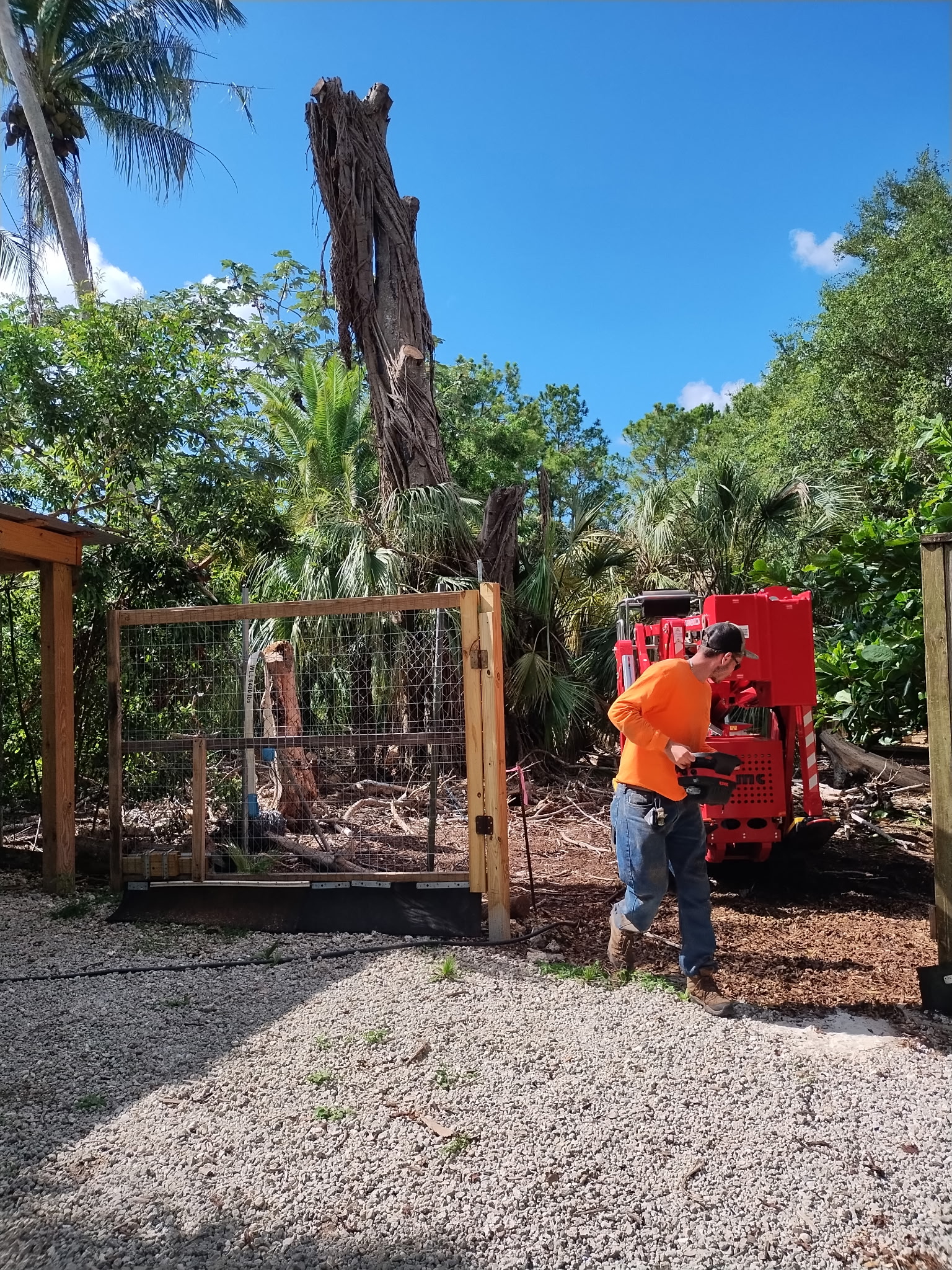 Post-tree removal cleanup and site preparation