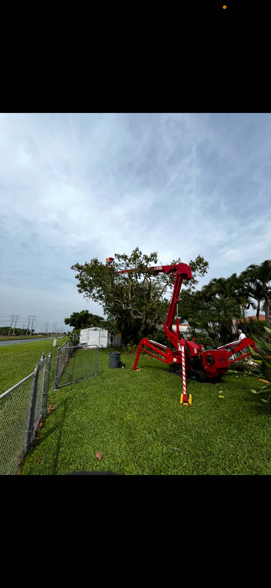 Professional tree trimming with spider lift